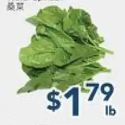 Oceans Fresh Food Market Water Spinach offer
