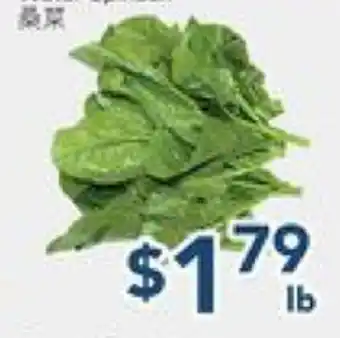Oceans Fresh Food Market Water Spinach offer
