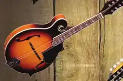 Long & McQuade GM-35 F-Style Mandolin with Case offer