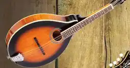 Long & McQuade Gold Tone GM-50+ A-Style Mandolin offer