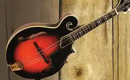 Long & McQuade Gold Tone GM-70+ F-Style Mandolin Guitar offer