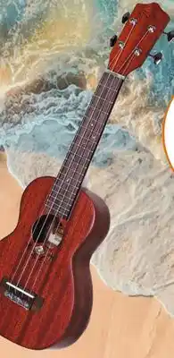 Long & McQuade Celebration Series Soprano Ukulele offer