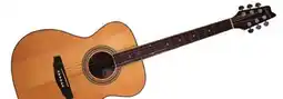 Long & McQuade Denver Guitars Full-Size OM Style Steel String Guitar offer