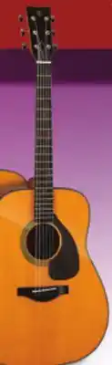 Long & McQuade Yamaha FGX5 II / FSX5 II GUITARS offer