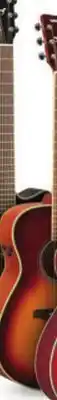 Long & McQuade TransAcoustic Guitars offer