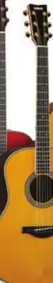 Long & McQuade TransAcoustic FGC-TA/FSC-TA offer
