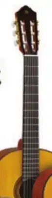 Long & McQuade CG-TA Trans Acoustic offer