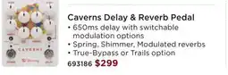 Long & McQuade Caverns Delay & Reverb Pedal offer