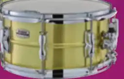 Long & McQuade Recording Custom Brass offer