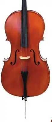 Long & McQuade Carlton 4/4 Deluxe Cello Outfit offer