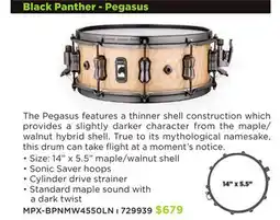 Long & McQuade Mapex Black Panther - Pegasus offer