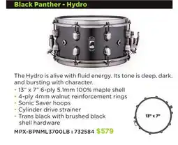 Long & McQuade MAPEX Black Panther - Hydro offer