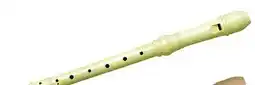 Long & McQuade Plastic Recorders offer