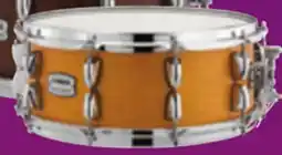 Long & McQuade Tour Custom Maple (5 Finishes) offer