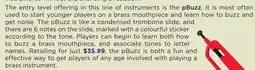 Long & McQuade The entry level offering in this line of instruments is the pBuzz offer