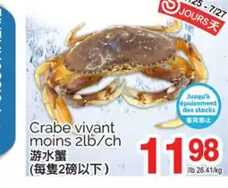 T&T Supermarket CRABE VIVANT MOINS, 2LB/CH offer