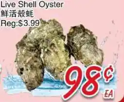 Foody Mart Live Shell Oyster offer