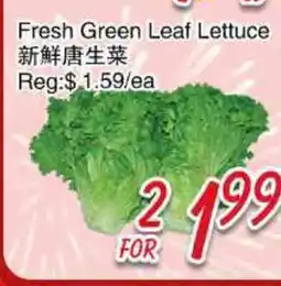 Foody Mart Fresh Green Leaf Lettuce offer