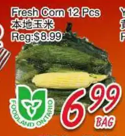 Foody Mart FRESH CORN offer