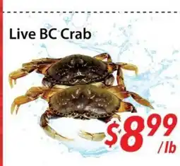 Bestco Food Mart Live BC Crab offer