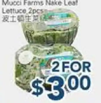 Oceans Fresh Food Market Muchi Farm Nake Leaf Lettuce offer