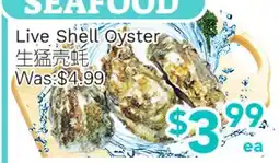 Ample Food Market Live Shell Oyster offer