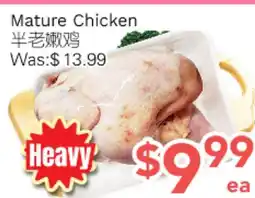 Ample Food Market Mature Chicken offer