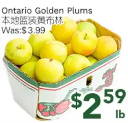 Ample Food Market Ontario Golden Plums offer