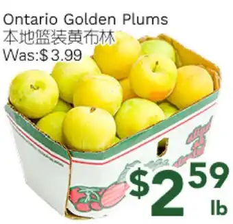 Ample Food Market Ontario Golden Plums offer