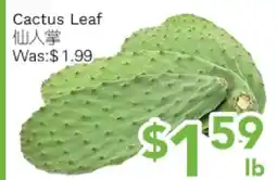 Ample Food Market Cactus Leaf offer