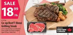 Co-op Co-op Beef T-Bone Grilling Steak offer