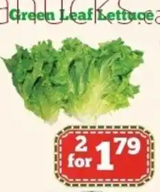 Nations Fresh Foods Green leaf lettuce offer