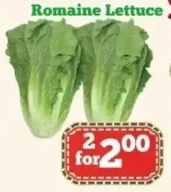 Nations Fresh Foods Romaine lettuce offer