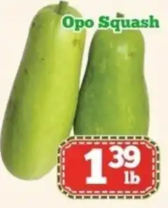 Nations Fresh Foods Opo squash offer