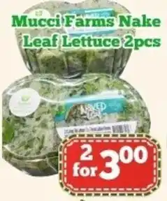 Nations Fresh Foods Mucci farms nake leaf lettuce offer