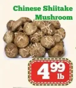 Nations Fresh Foods Chinese shiitake mushroom offer