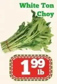 Nations Fresh Foods White ton choy offer