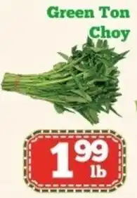 Nations Fresh Foods Green ton choy offer