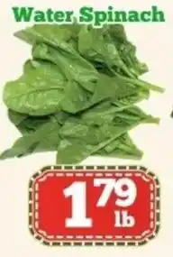 Nations Fresh Foods Water spinach offer