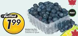 Sobeys Blueberries Pint offer