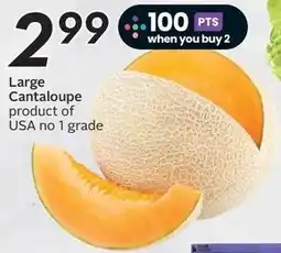 Sobeys Large Cantaloupe offer