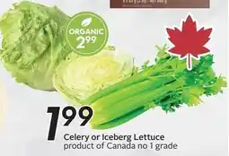 Sobeys Celery or Iceberg Lettuce offer