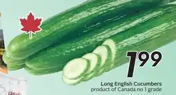Sobeys Long English Cucumbers offer
