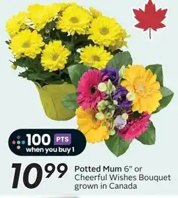 Sobeys Potted Mum 6" or Cheerful Wishes Bouquet offer