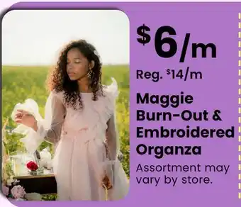 Fabricland Maggie Burn-Out & Embroidered Organza offer