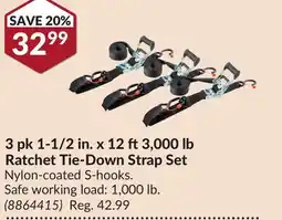 Princess Auto 3 pk 1-1/2 in. x 12 ft3,000 lb Ratchet Tie-Down Strap Set offer