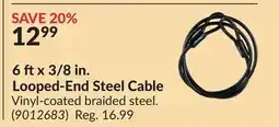 Princess Auto 6 ftx 3/8 in. Looped-End Steel Cable offer