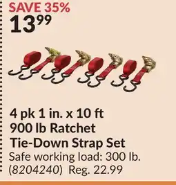 Princess Auto 4 pk 1 in. x 10 900 lb Ratchet Tie-Down Strap Set offer