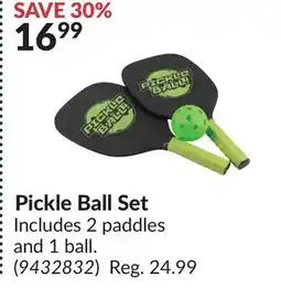 Princess Auto Pickle Ball Set offer