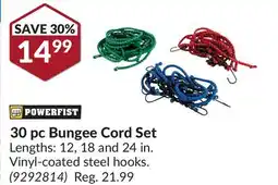 Princess Auto 30 pc Bungee Cord Set offer